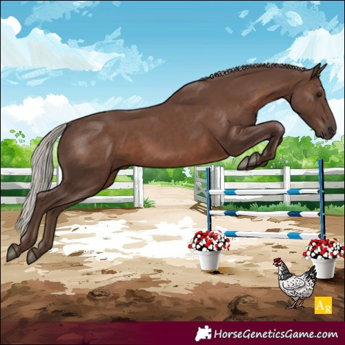 Horse Color:Silver Black 