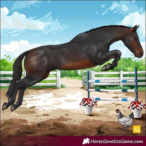 Horse Color:Brown Rabicano 