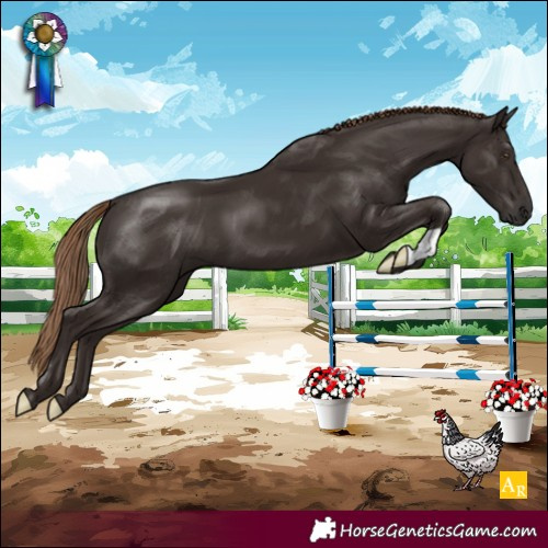 Horse Color:Liver Chestnut