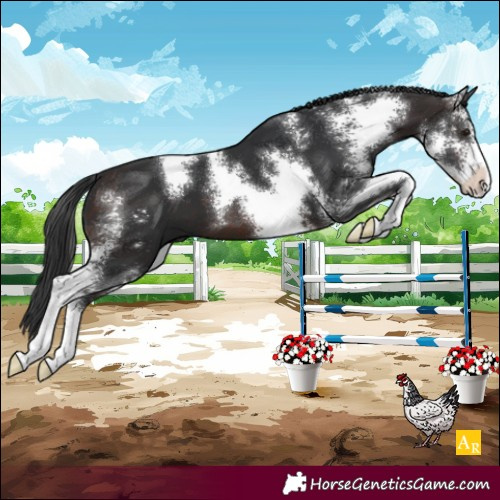 Horse Color:Brown Sabino