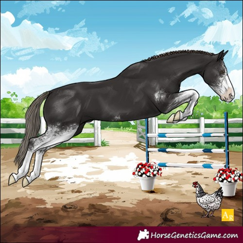 Horse Color:Liver Chestnut Sabino 