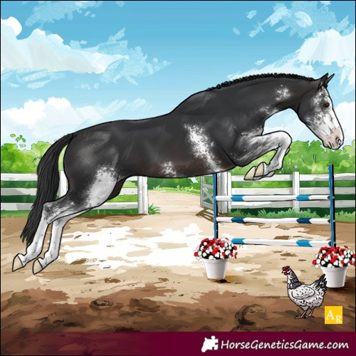 Horse Color:Brown Sabino