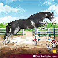 Horse Color:Brown Sabino 