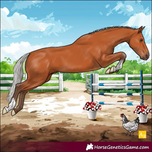 Horse Color:Silver Bay 