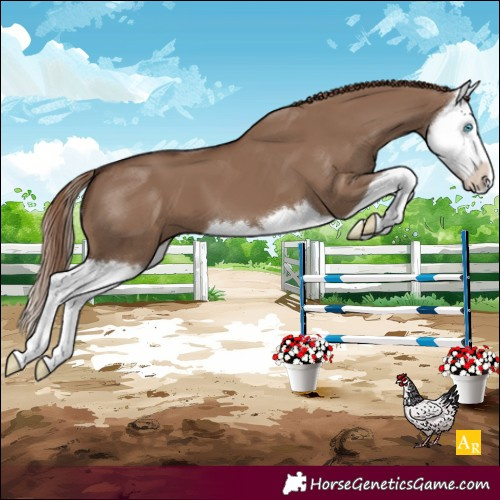 Horse Color:Liver Red Dun Splash