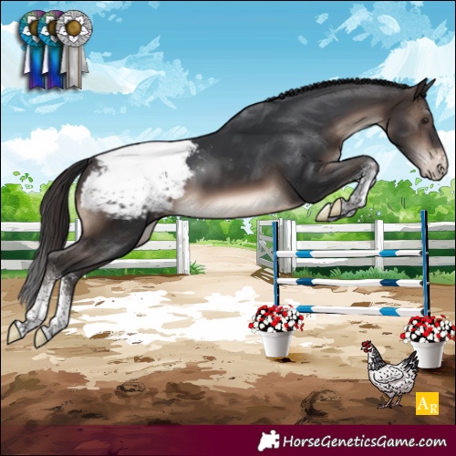 Horse Color:Brown Sabino Snowcap 