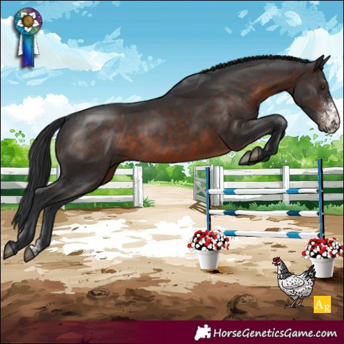 Horse Color:Brown Sabino 