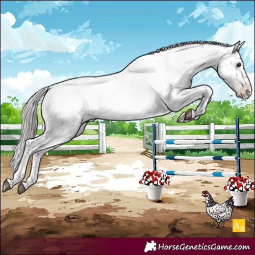 Horse Color:Silver Brown Sabino Appaloosa