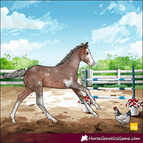 Horse Color:Silver Brown Sabino 