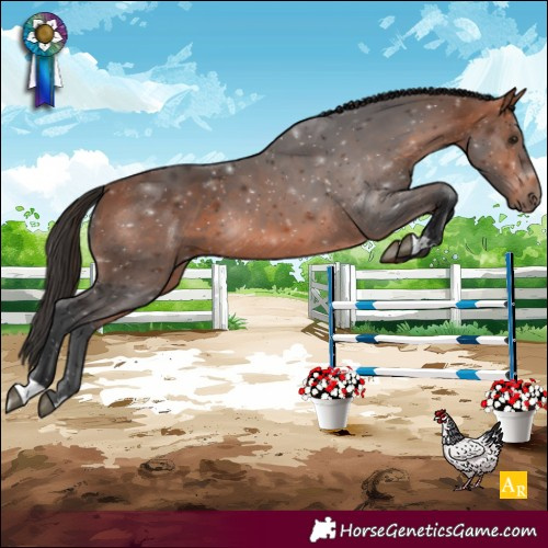 Horse Color:Bay Rabicano 
