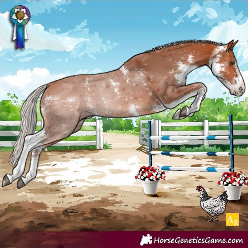 Horse Color:Silver Bay Sabino Rabicano