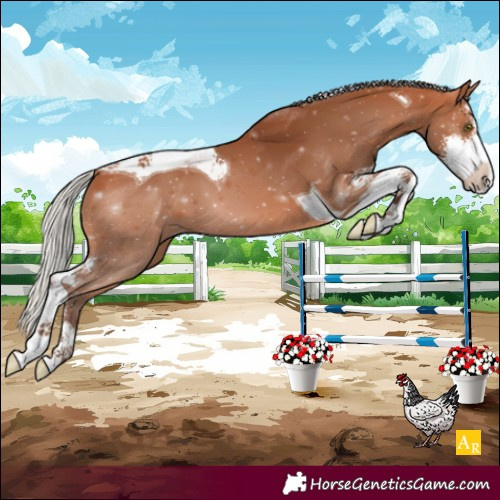 Horse Color:Silver Bay Sabino Tobiano