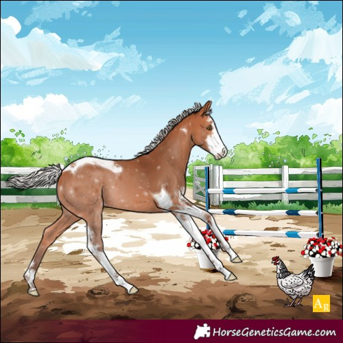 Horse Color:Silver Bay Sabino Tobiano 