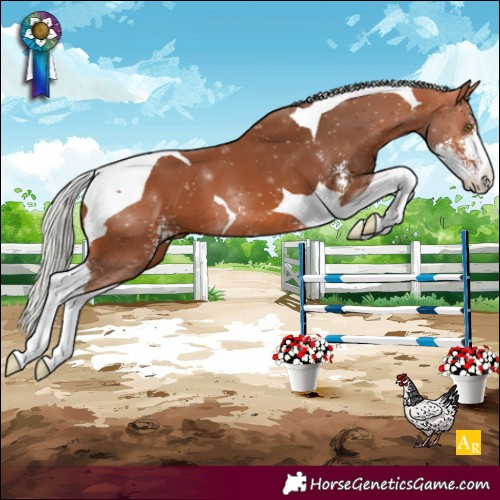 Horse Color:Silver Bay Sabino Tobiano