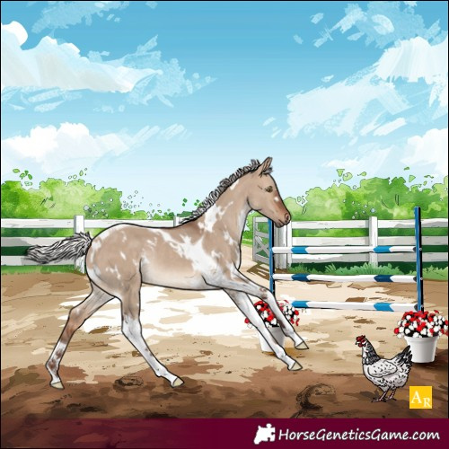 Horse Color:White Spotted Silver Brown Dun Tobiano Rabicano 