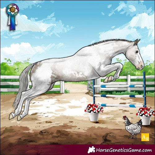 Horse Color:White Spotted Silver Grullo Sabino Blanket Rabicano Brindle 