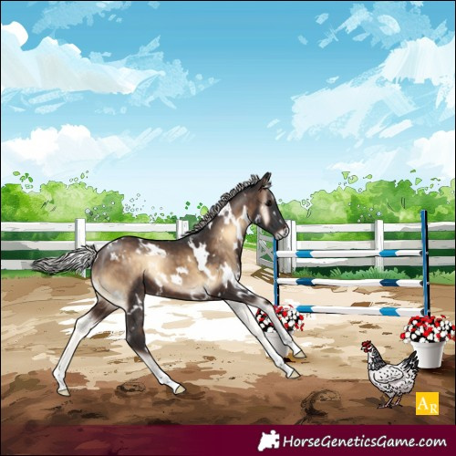 Horse Color:White Spotted Silver Brown Onyx 