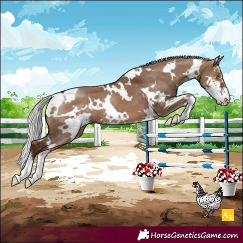 Horse Color:White Spotted Silver Brown Dun Sabino