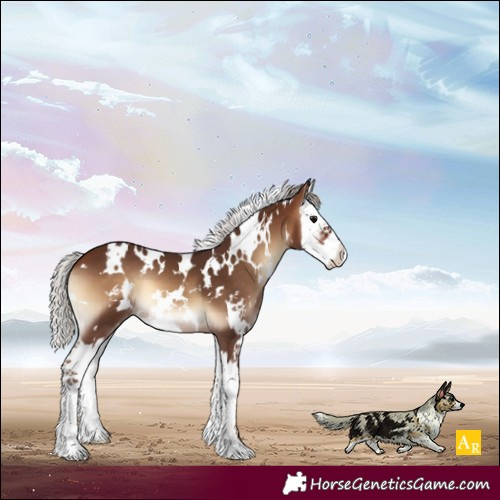 Horse Color:White Spotted Silver Bay Onyx Splash 