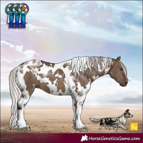 Horse Color:White Spotted Silver Brown Dun Tobiano 