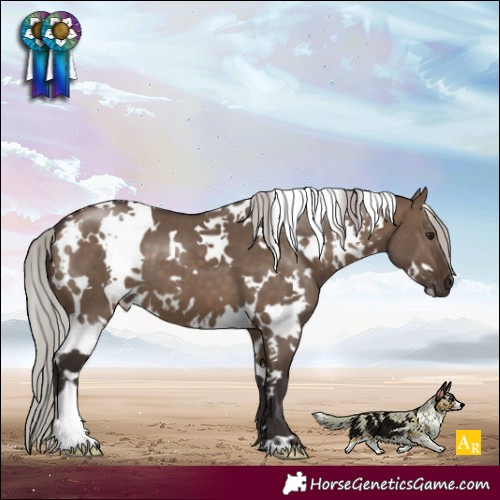 Horse Color:White Spotted Silver Brown Dun 