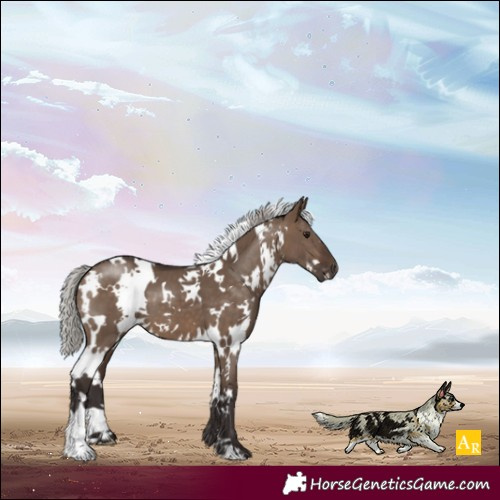 Horse Color:White Spotted Silver Brown Dun 