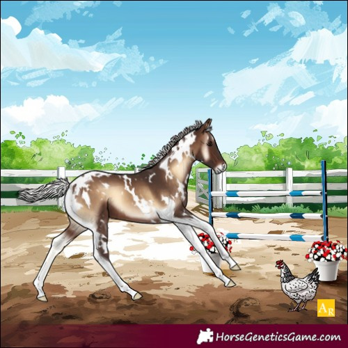 Horse Color:White Spotted Silver Brown Onyx Tobiano 