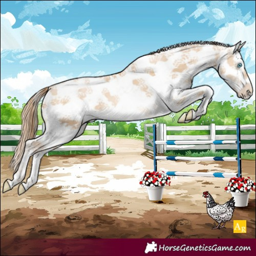 Horse Color:Buckskin Pearl Sabino 