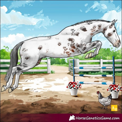 Horse Color:Brown Sabino 