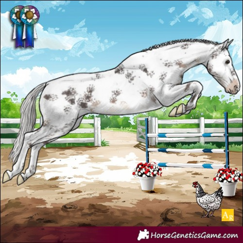 Horse Color:Silver Brown Sabino Splash Varnish