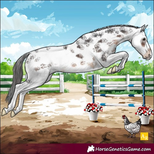 Horse Color:Brown Sabino Splash 