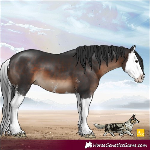 Horse Color:Brown Sabino Splash 