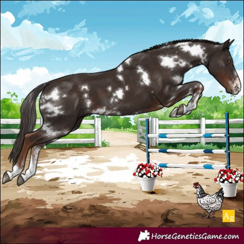 Horse Color:White Spotted Liver Chestnut Sabino 