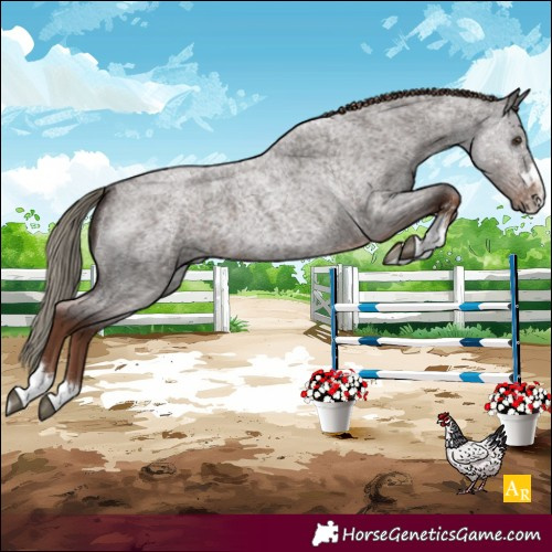 Horse Color:Liver Red Roan