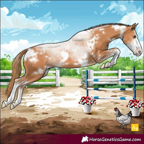 Horse Color:White Spotted Chestnut Sabino 