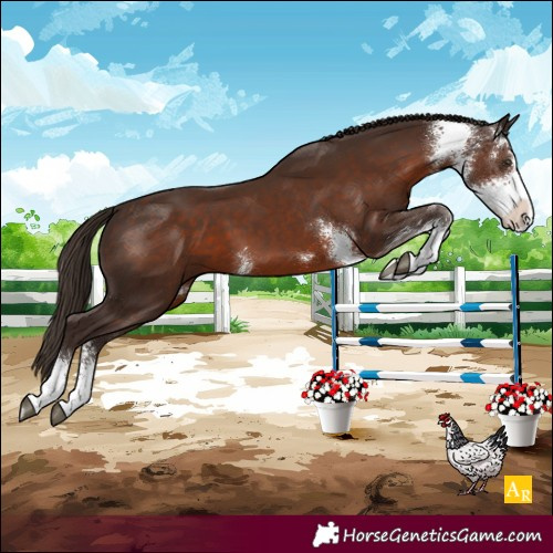 Horse Color:Liver Chestnut Sabino 