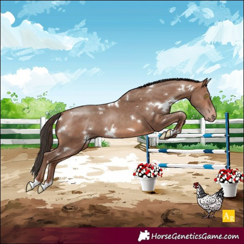 Horse Color:White Spotted Sable Champagne 
