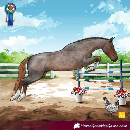 Horse Color:Gray Liver Red Roan 
