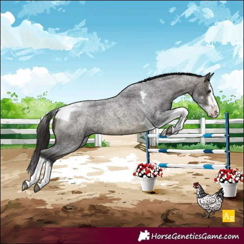 Horse Color:Buckskin Roan Splash Tobiano