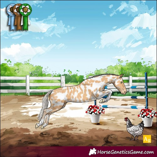 Horse Color:Silver Amber Cream Champagne Tobiano Near Leopard Rabicano