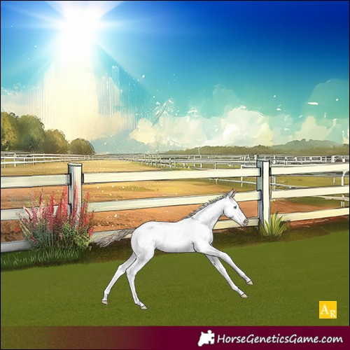 Horse Color:Gold Champagne Pearl Sabino 