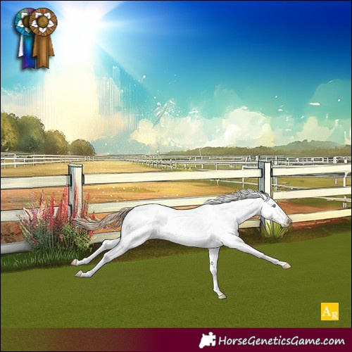 Horse Color:Gold Champagne Pearl Sabino