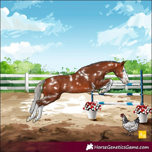 Horse Color:White Spotted Silver Bay Splash Rabicano