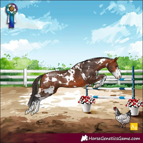 Horse Color:White Spotted Bay Sabino Appaloosa