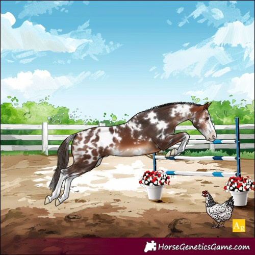 Horse Color:White Spotted Bay Sabino Blanket 