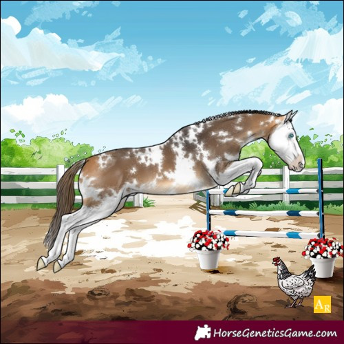 Horse Color:White Spotted Buckskin Splash