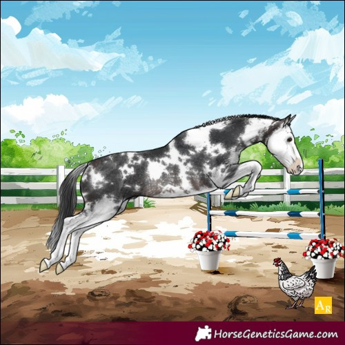 Horse Color:White Spotted Brown Sabino Splash Rabicano 