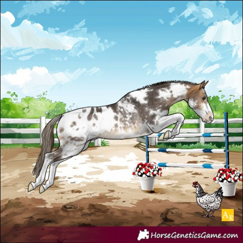 Horse Color:White Spotted Buckskin Sabino Blanket Rabicano 