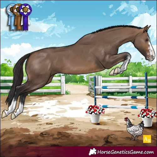Horse Color:Brown Dun 