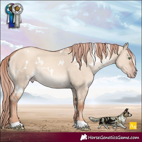 Horse Color:White Spotted Gold Champagne Dun 